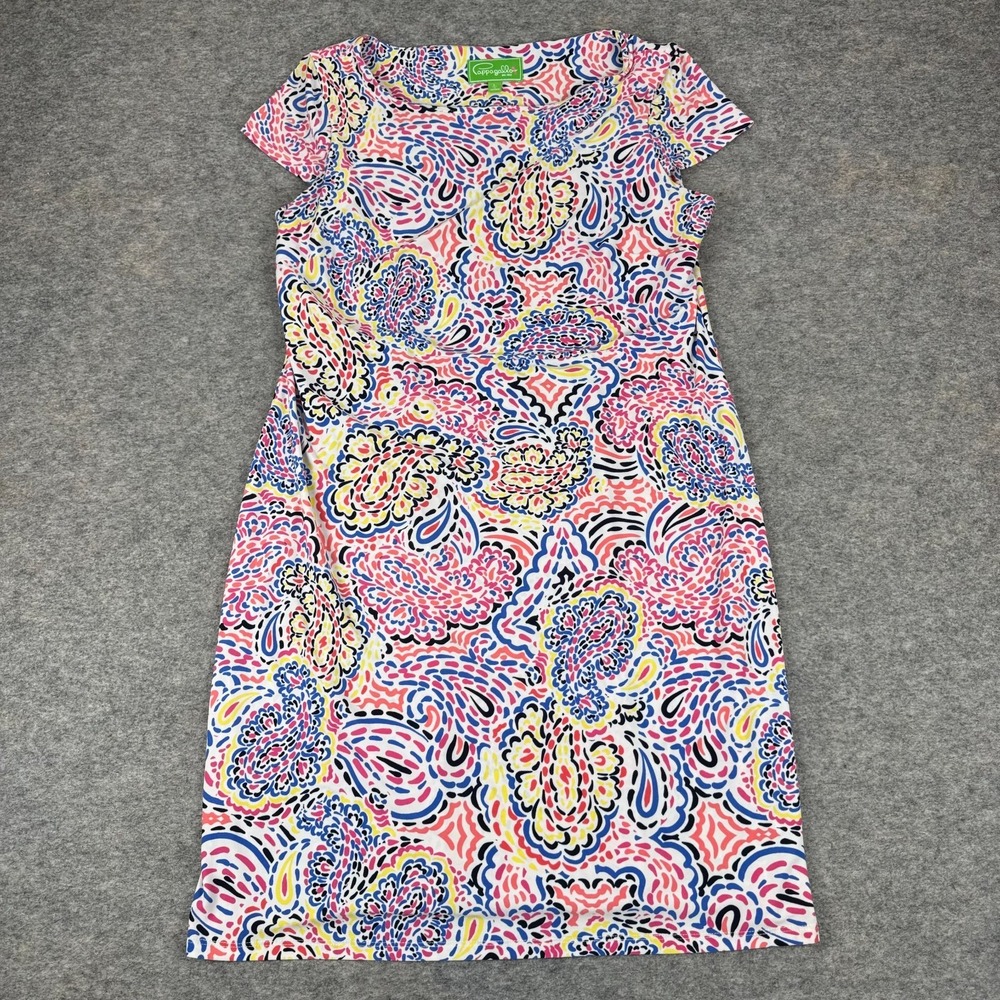 Pappagallo Dress Paisley Print Polyester Stretch Womens Large L